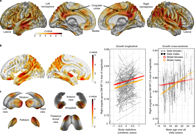 Compulsivity And Impulsivity Traits Linked To Attenuated Developmental Frontostriatal Myelination Trajectories Nature Neuroscience