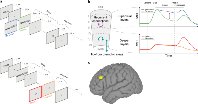 PDF) Units of Translation and the Limited Capacity of Working Memory