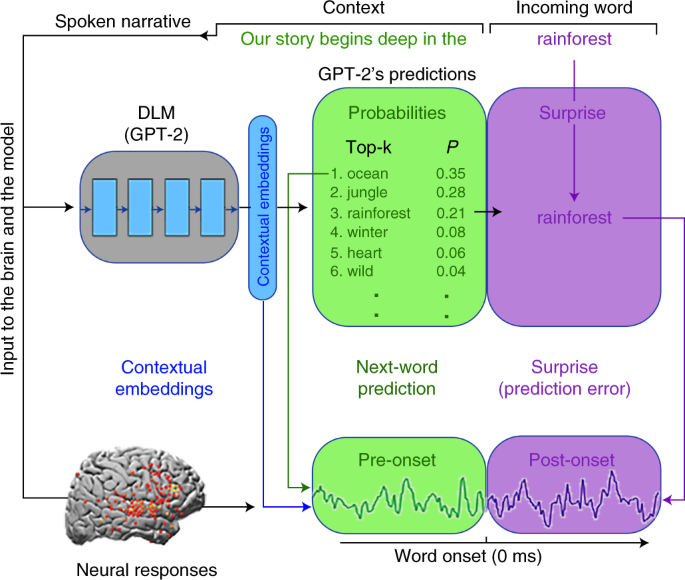 Establishing new TReNDS in brain research - The Signal