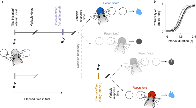 Efficient coding of cognitive variables underlies dopamine response and choice behavior