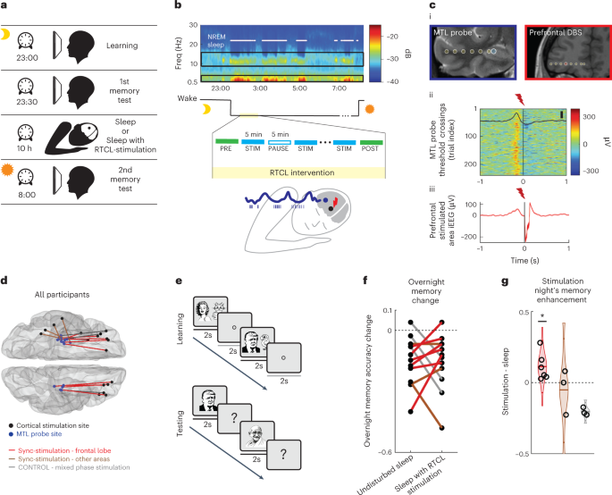 Augmenting hippocampal–prefrontal neuronal synchrony during sleep enhances memory consolidation in humans