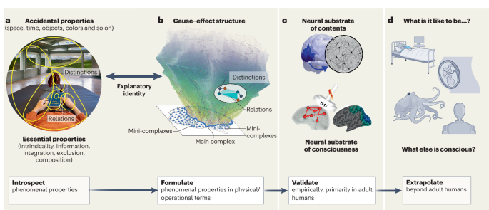 Consciousness or pseudo-consciousness? A clash of two paradigms ...