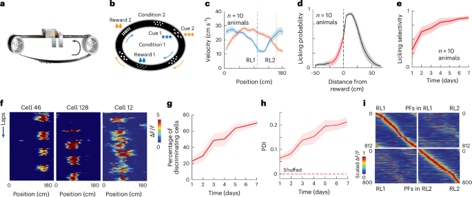 Figure from Nature Neuroscience article illustrating hippocampal place-cell data