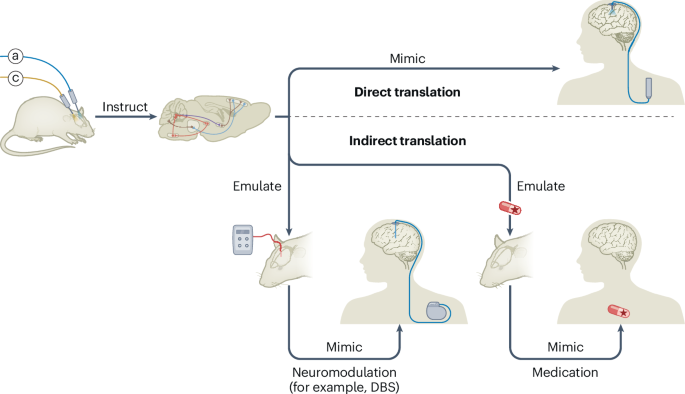Cestovní mapa pro přímý i nepřímý převod optogenetiky do lidských objevů a terapií