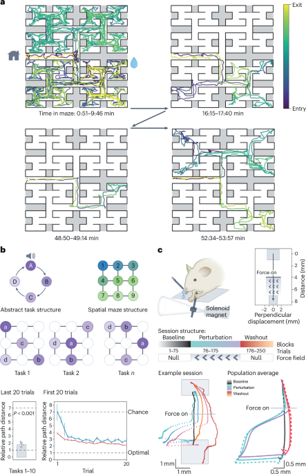 Leveraging insights from neuroscience to build adaptive artificial intelligence