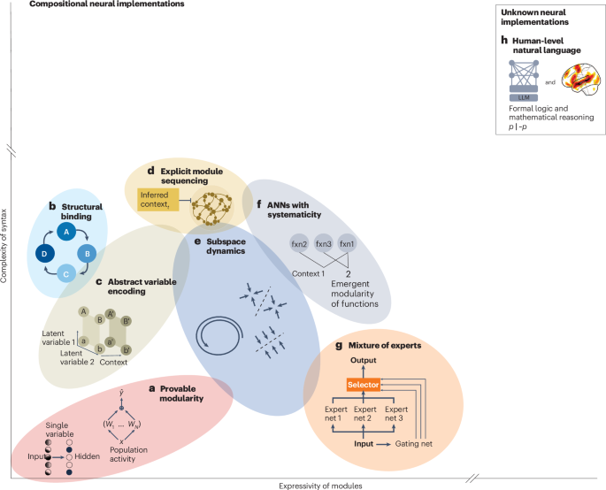 The compositionality continuum as a principle for studying the neural basis of intelligence