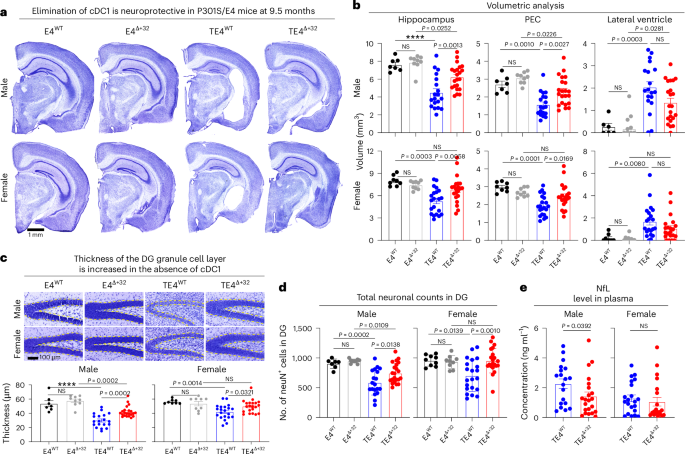 T cells by peripheral dendritic cells exacerbates tau-mediated neurodegeneration - Nature