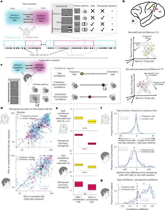 Feature interference underlies a neuronal basis for the behavioral cost of task uncertainty
