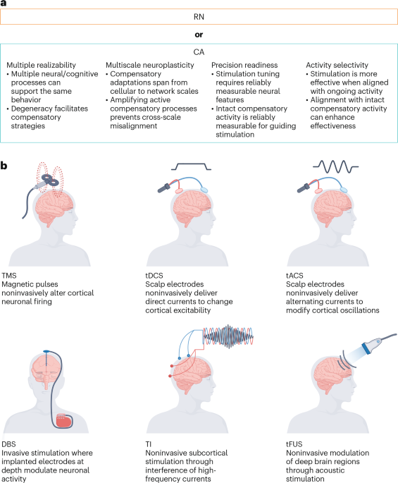 Neuromodulation for restoring and amplifying brain function