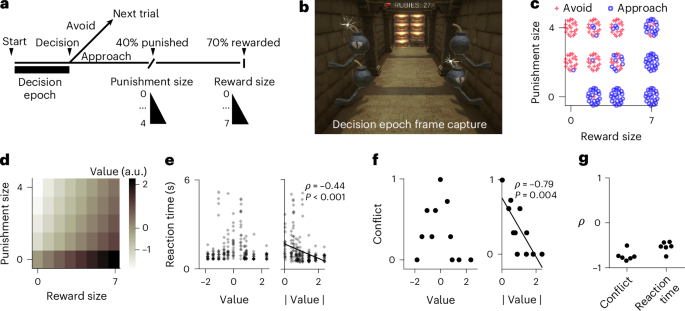 Intracranial recordings in humans reveal differential contributions of medial and lateral orbitofrontal cortex to approach–avoidance decision-making