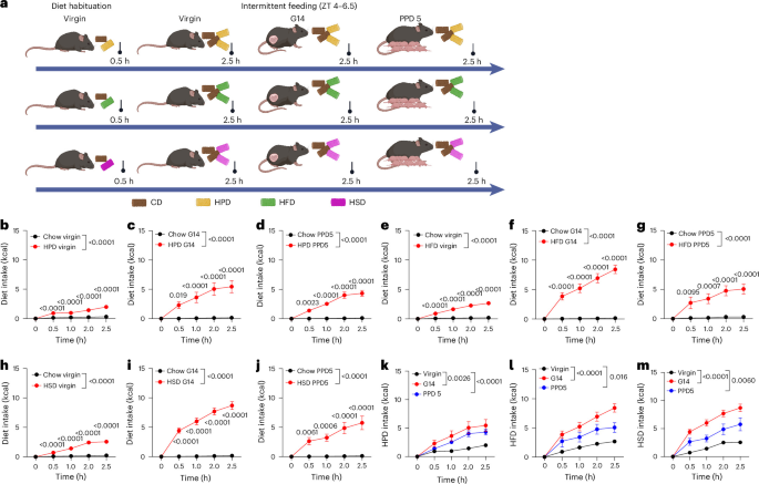 Serotonin neurons in the dorsal raphe control food-craving-like behavior during pregnancy in mice