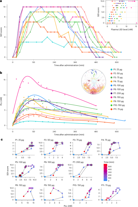 Investigating molecular and hemodynamic effects of LSD in the human brain