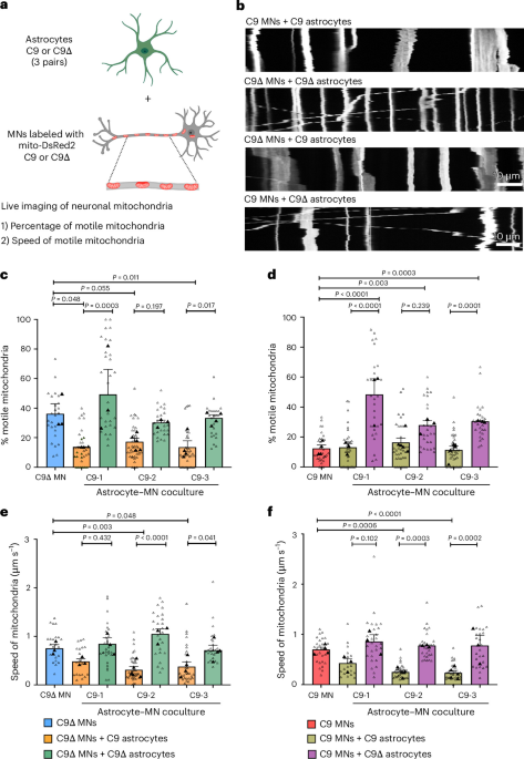 Astroositlər C9ORF72 amyotrofik lateral skleroz motor neyronlarında axonal mitoxondrial nəqliyyat defektlərini tənzimləyir