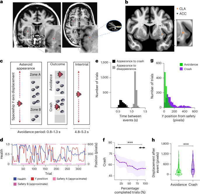 Human claustrum neurons encode uncertainty and prediction errors during aversive learning