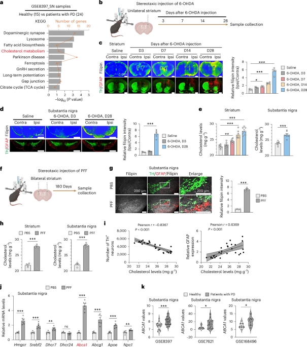 Dysregulated cholesterol trafficking through ABCA1 drives neurodegeneration in Parkinson’s disease