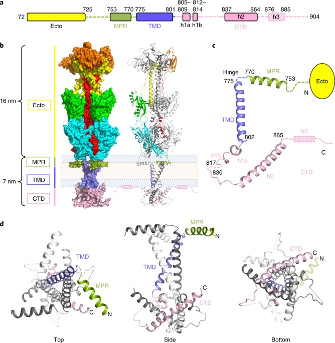 Télécharger gratuitement Images Ddflivd6ygofzm dernière