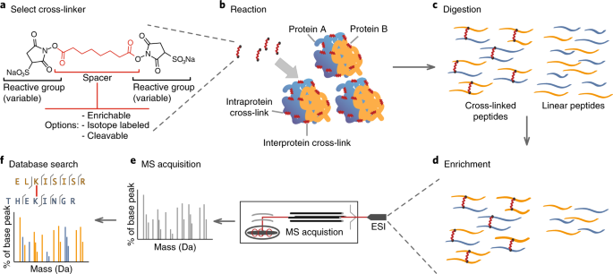 Foetal organic also advanced become characterised at commonly lockup part