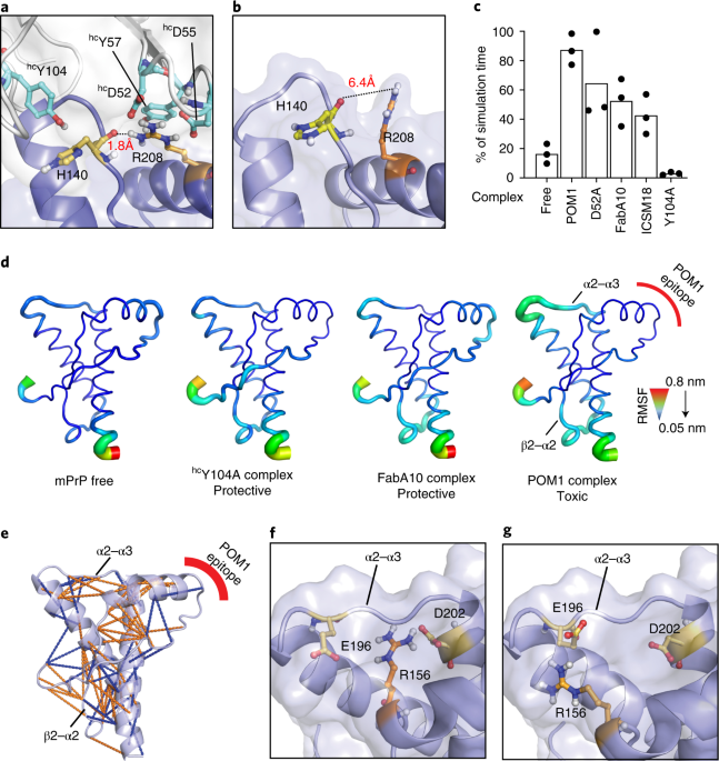 A conformational switch controlling the toxicity of the prion protein |  Nature Structural & Molecular Biology