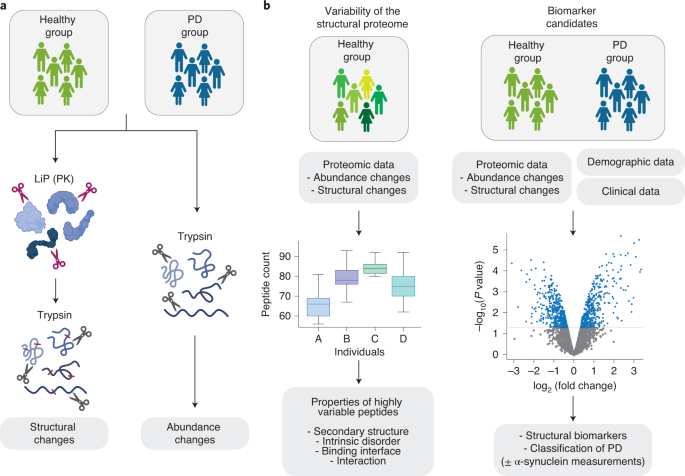 Global, in situ analysis of the structural proteome in individuals with  Parkinson's disease to identify a new class of biomarker | Nature  Structural & Molecular Biology