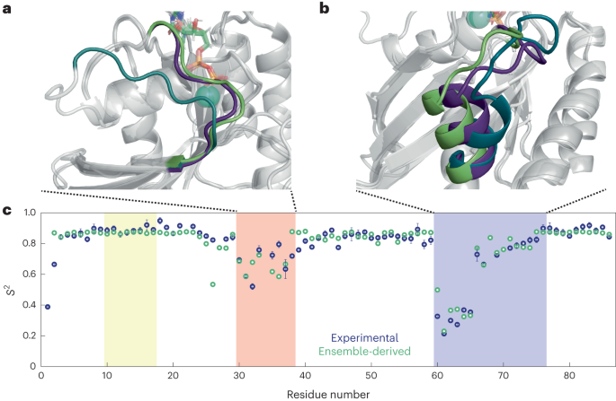 Functional protein dynamics on uncharted time scales detected by  nanoparticle-assisted NMR spin relaxation