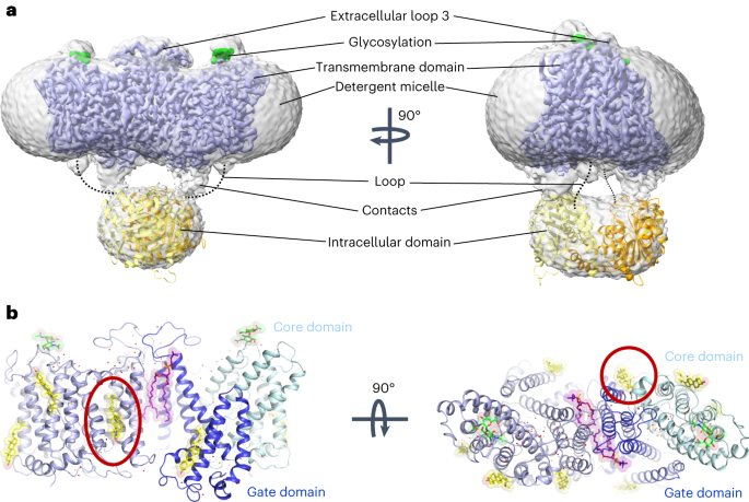 feature-image