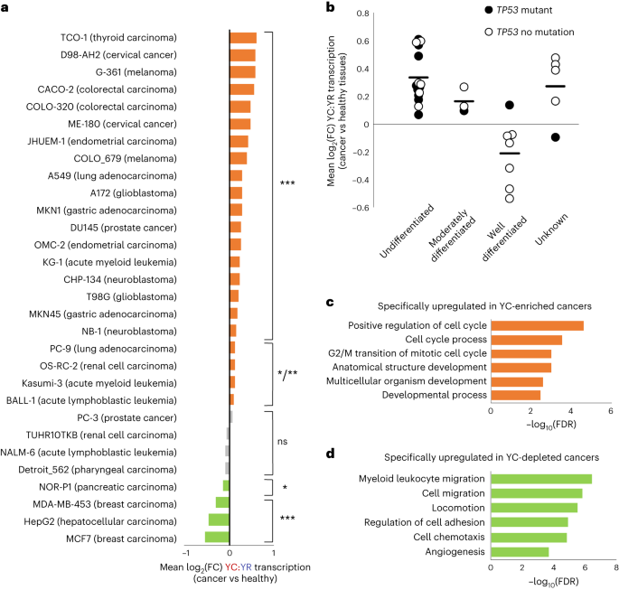 PDF) Intra-promoter switch of transcription initiation sites in