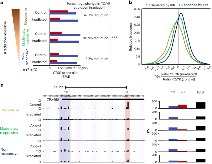 PDF) Intra-promoter switch of transcription initiation sites in