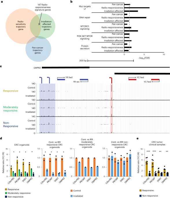 PDF) Intra-promoter switch of transcription initiation sites in