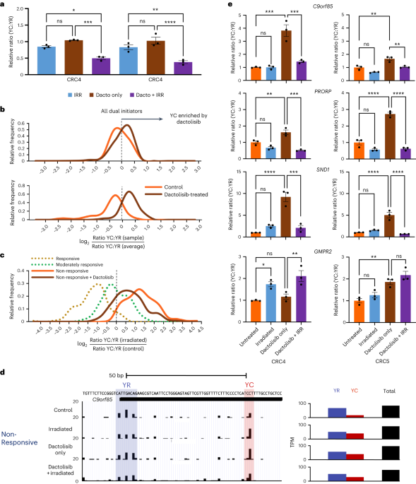 PDF) Intra-promoter switch of transcription initiation sites in