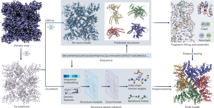 When cryo-EM modeling meets structure prediction - Nature Structural & Molecular Biology