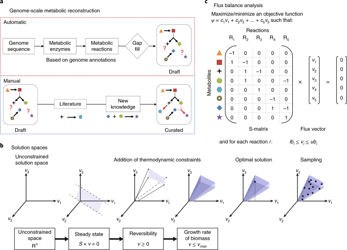 Creation and analysis of biochemical constraint-based models using the  COBRA Toolbox v.3.0