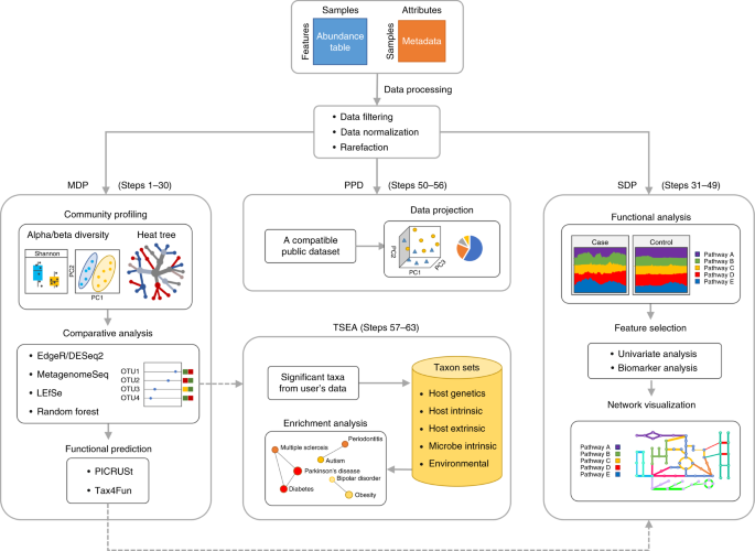 comprehensive meta analysis rapidshare