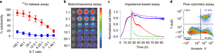 Comparative Analysis Of Assays To Measure Car T Cell Mediated Cytotoxicity Nature Protocols Comparative Analysis Of Assays To Measure Car T Cell Mediated Cytotoxicity Nature Protocols