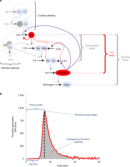 Thrombin generation test based on a 96-channel pipettor for evaluation of fxia procoagulant activity in pharmaceuticals