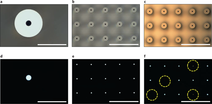 https://media.springernature.com/m685/springer-static/image/art%3A10.1038%2Fs41596-021-00631-0/MediaObjects/41596_2021_631_Fig2_HTML.png