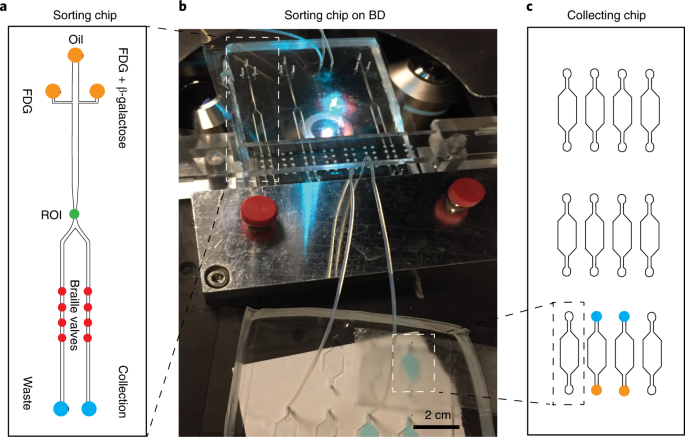 A microfluidic Braille valve platform for on-demand production,  combinatorial screening and sorting of chemically distinct droplets