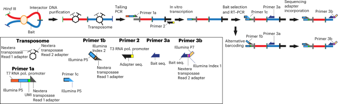 feature-image