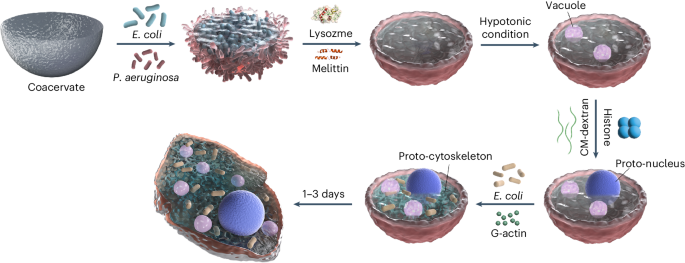 feature-image
