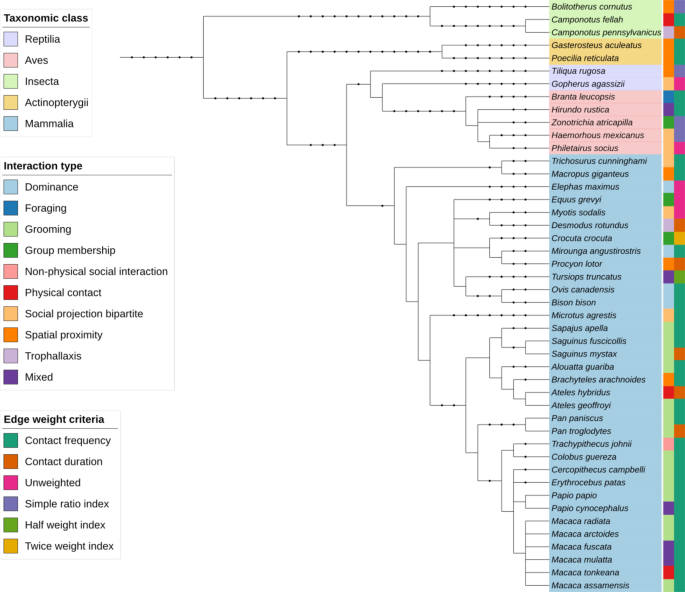 A multi-species repository of social networks | Scientific Data