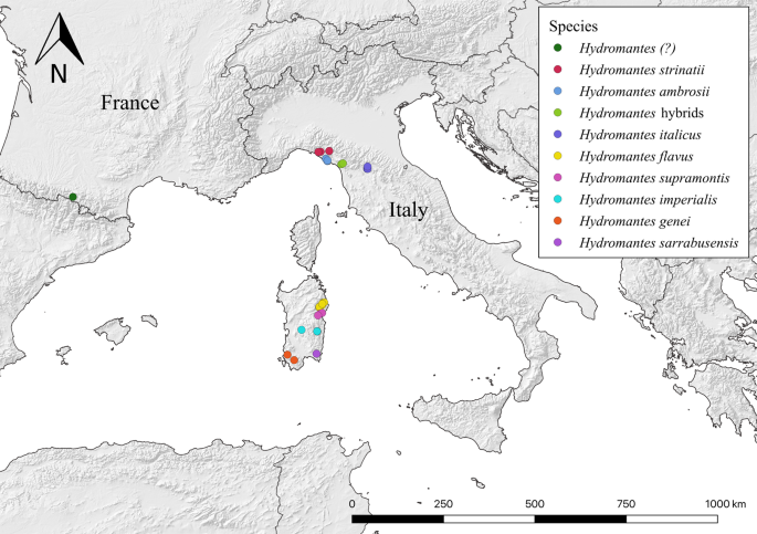 Photographic Database Of The European Cave Salamanders Genus Hydromantes Scientific Data