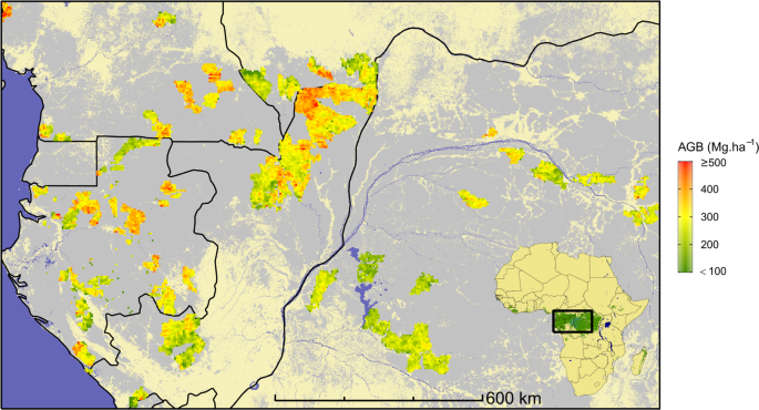 A Map Of African Humid Tropical Forest Aboveground Biomass Derived From Management Inventories Scientific Data A Map Of African Humid Tropical Forest Aboveground Biomass Derived From Management Inventories Scientific Data
