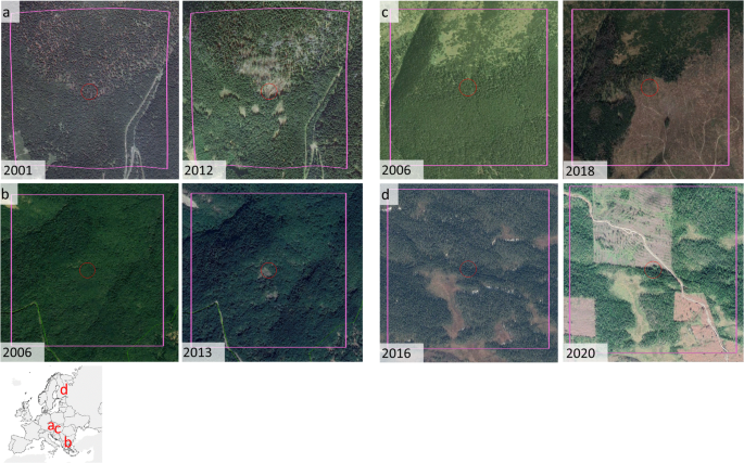 Vojvodina, Serbia  Satellite Imagery and Art - Satellite Art Institute