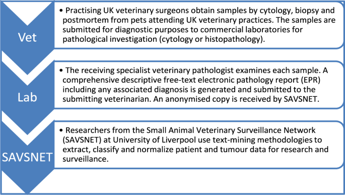 A text-mining based analysis of 100,000 tumours affecting dogs and cats in  the United Kingdom | Scientific Data