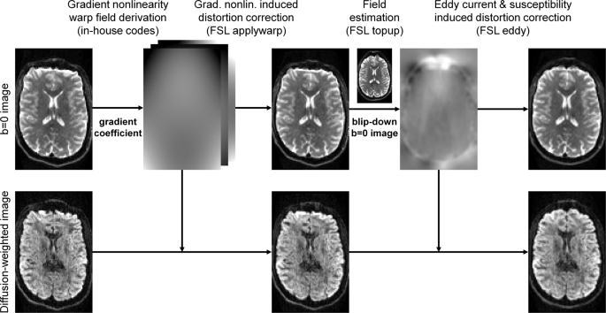 Comprehensive diffusion MRI dataset for in vivo human brain microstructure mapping using 300 mT/m gradients - Scientific Data