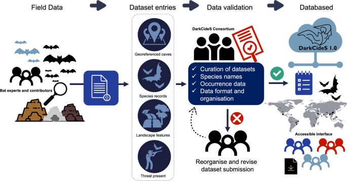 DarkCideS 1.0, a global database for bats in karsts and caves