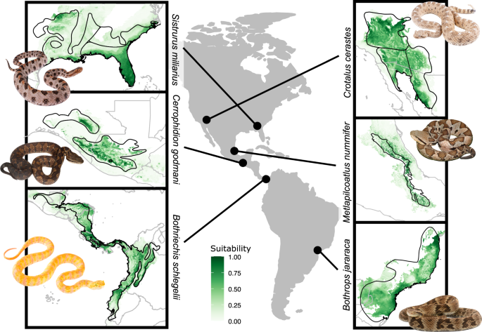 Atlas of Brazilian Snakes: Verified Point-Locality Maps to