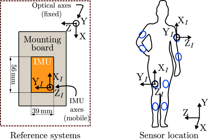 A database of physical therapy exercises with variability of execution collected by wearable sensors