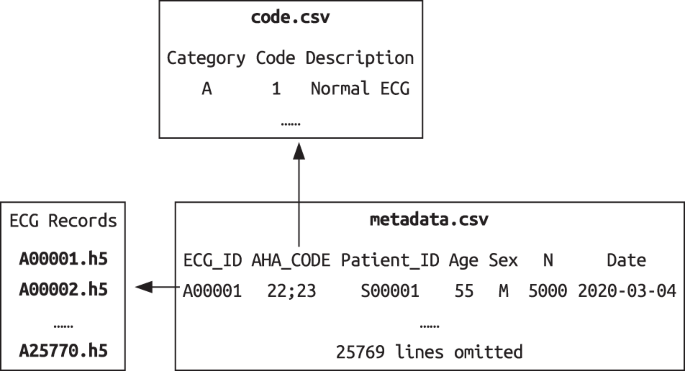 A large-scale multi-label 12-lead electrocardiogram database with standardized diagnostic statements