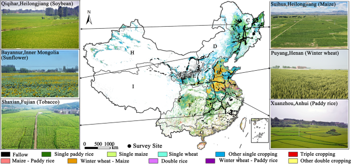 Maps of cropping patterns in China during 2015–2021 | Scientific Data