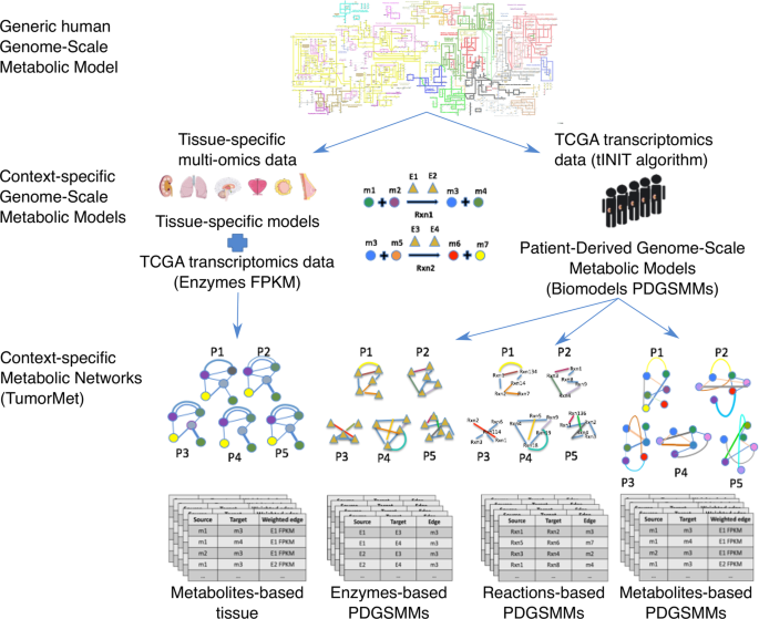 https://media.springernature.com/m685/springer-static/image/art%3A10.1038%2Fs41597-022-01702-x/MediaObjects/41597_2022_1702_Fig1_HTML.png